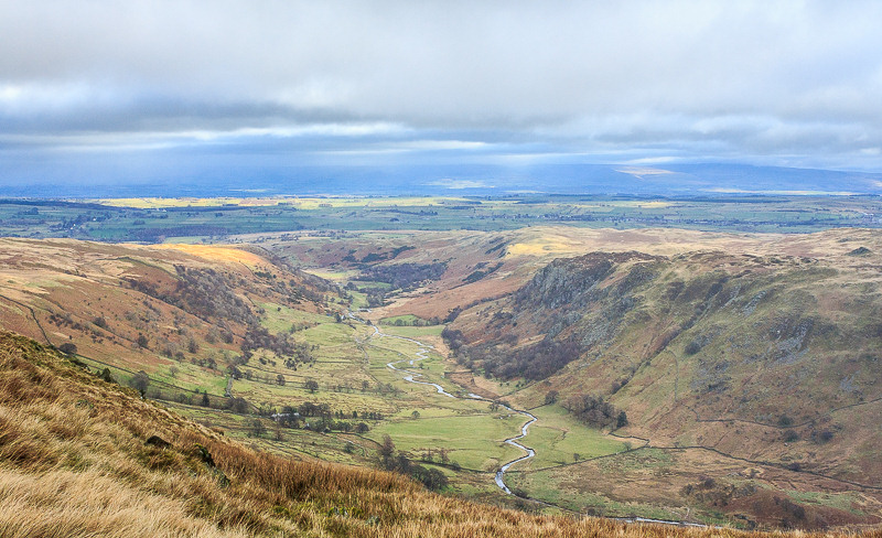 Swindale Swindale